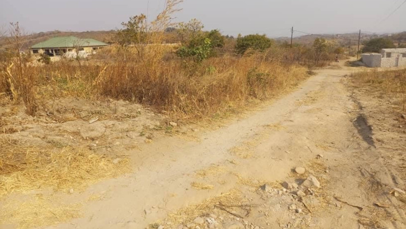 1-acre-plot-for-sale-in-silverest-big-3