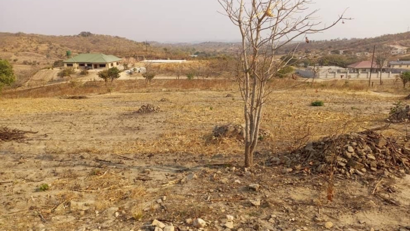 1-acre-plot-for-sale-in-silverest-big-2