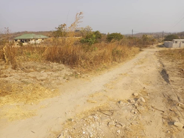 1-acre-plot-for-sale-in-silverest-big-3
