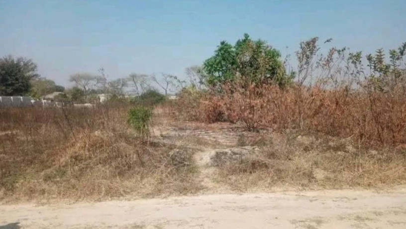 plot-for-sale-in-silverest-big-2