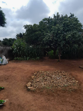 3-and-2-bedroom-free-stands-in-the-same-yard-big-1