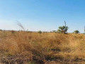 5-acre-plot-for-sale-in-ngwerere-small-2