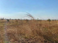 5-acre-plot-for-sale-in-ngwerere-small-1