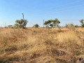 5-acre-plot-for-sale-in-ngwerere-small-0