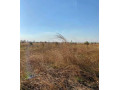 5-acre-plot-for-sale-in-ngwerere-small-1