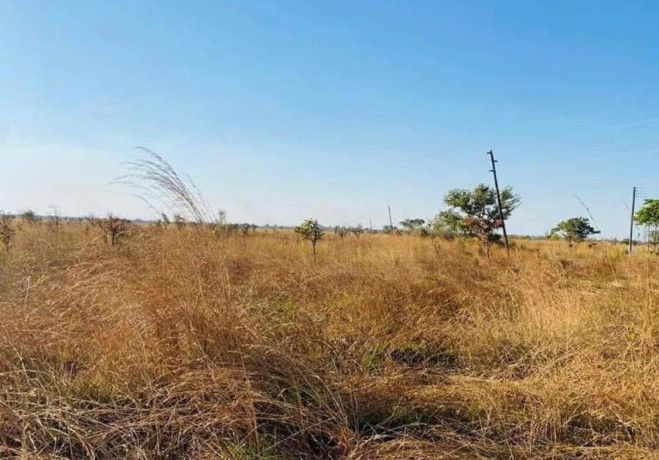 5-acre-plot-for-sale-in-ngwerere-big-2
