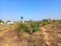 farm-land-for-sale-in-10-miles-small-9