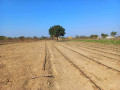 farm-land-for-sale-in-10-miles-small-2