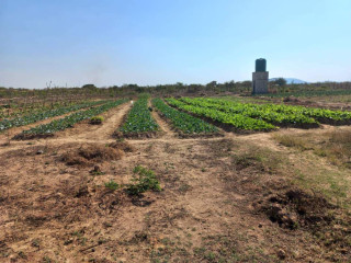 Farm Land For Sale in 10 Miles