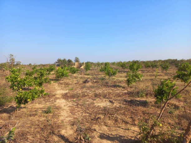 farm-land-for-sale-in-10-miles-big-7