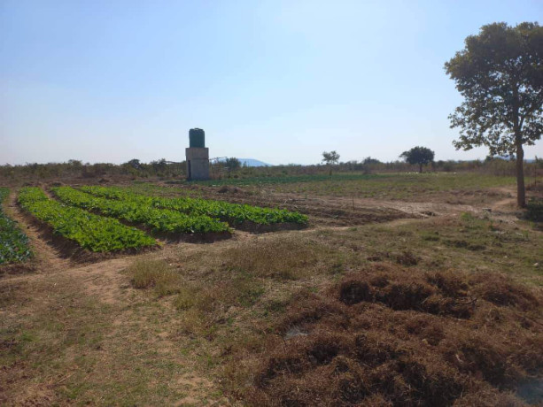 farm-land-for-sale-in-10-miles-big-4