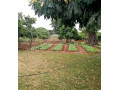 40-by-20-plot-for-sale-in-chalala-small-1