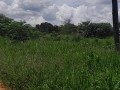 land-for-sale-in-chilanga-small-1