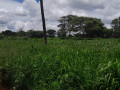 land-for-sale-in-chilanga-small-3