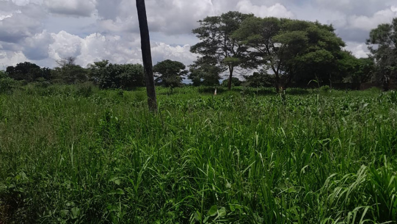 land-for-sale-in-chilanga-big-3