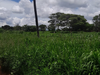 Land For Sale in Fumbelo area