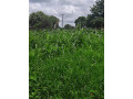 land-for-sale-in-fumbelo-area-small-1