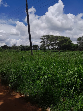 land-for-sale-in-fumbelo-area-big-0