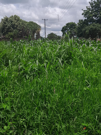 land-for-sale-in-fumbelo-area-big-1