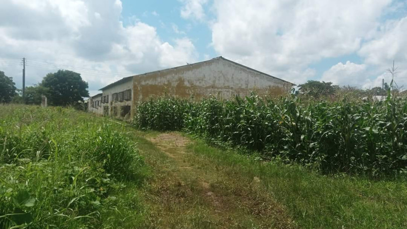 property-for-sale-great-north-road-big-2