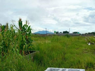 Land for Sale in Silverest