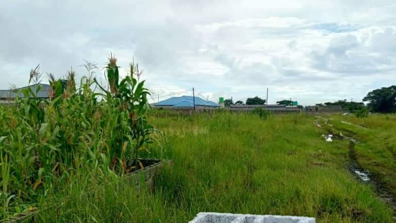 land-for-sale-in-silverest-big-0