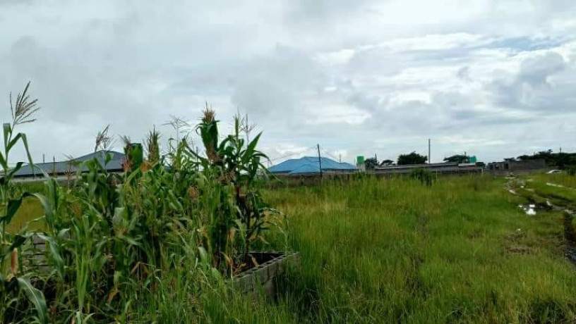 land-for-sale-in-silverest-big-1