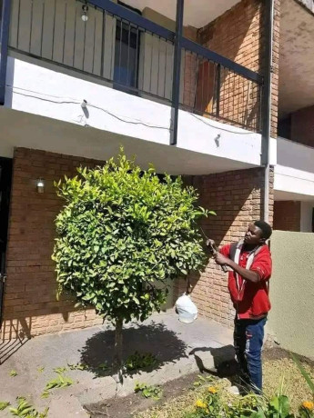 neat-and-beautiful-3-bedroom-apartment-for-sale-in-northmead-big-3