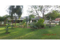 4-bedroom-house-for-sale-in-kabulonga-small-7