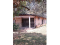 4-bedroom-house-for-rent-in-avondale-small-1