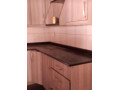 4-bedroom-house-for-rent-in-avondale-small-2