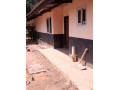 4-bedroom-house-for-rent-in-avondale-small-4