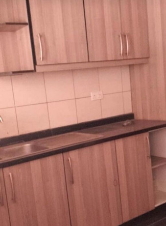 4-bedroom-house-for-rent-in-avondale-big-3