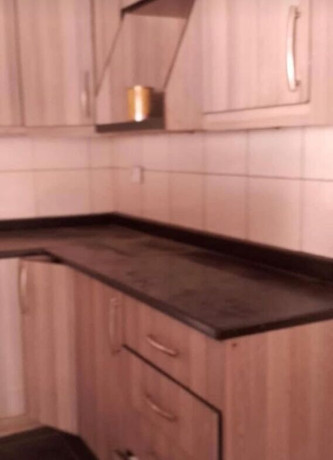 4-bedroom-house-for-rent-in-avondale-big-2