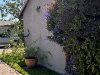 1-bedroom-apartment-for-rent-in-olympia