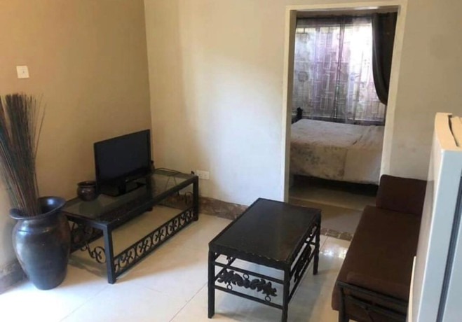 1-bedroom-apartment-for-rent-in-chudleigh-big-5