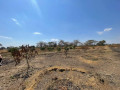 4-acre-land-for-sale-in-lusaka-west-small-3