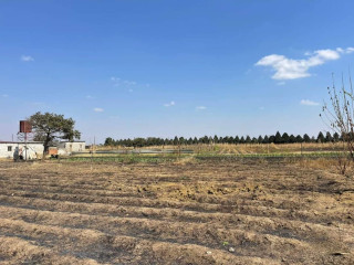 4 Acre Land For Sale in Lusaka West