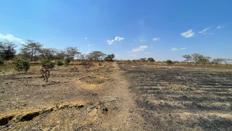 4-acre-land-for-sale-in-lusaka-west-big-5