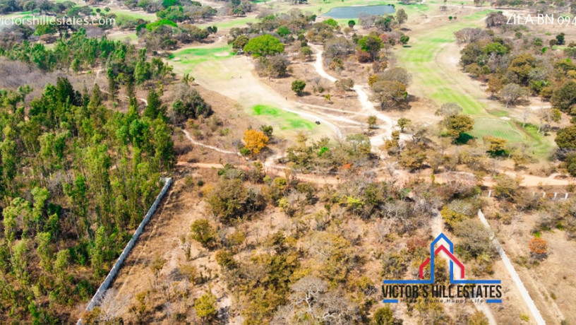 5-acre-lot-for-sale-in-bonanza-golf-estate-big-1