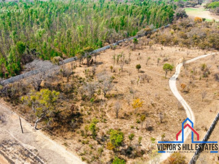 5-acre-lot-for-sale-in-bonanza-golf-estate