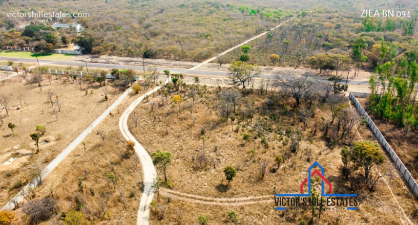 5-acre-lot-for-sale-in-bonanza-golf-estate-big-2