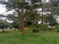 22-acres-for-sale-in-lusaka-west-small-0