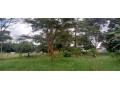 22-acres-for-sale-in-lusaka-west-small-0
