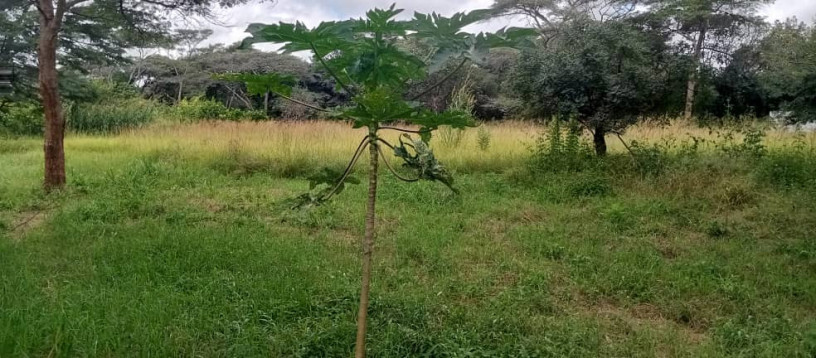 22-acres-for-sale-in-lusaka-west-big-1