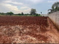 5050-plot-for-sale-in-chalala-apex-area-with-cottage-small-1