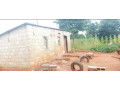 5050-plot-for-sale-in-chalala-apex-area-with-cottage-small-2