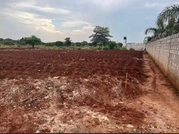 5050-plot-for-sale-in-chalala-apex-area-with-cottage-big-1