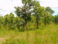 1-acre-land-for-sale-in-new-kasama-small-1