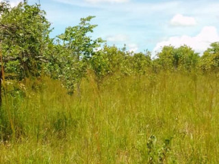 1 Acre Land For Sale in New Kasama